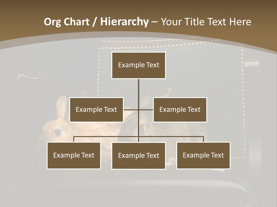 Indoors Tame Beautiful PowerPoint Template