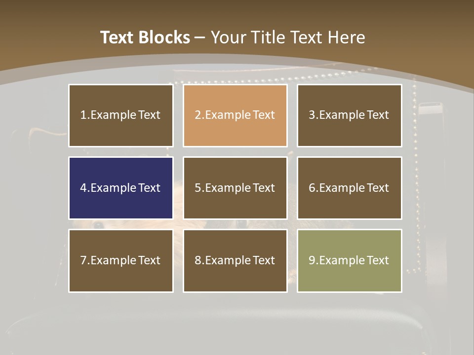 Indoors Tame Beautiful PowerPoint Template