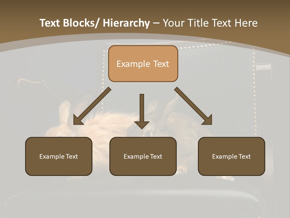 Indoors Tame Beautiful PowerPoint Template