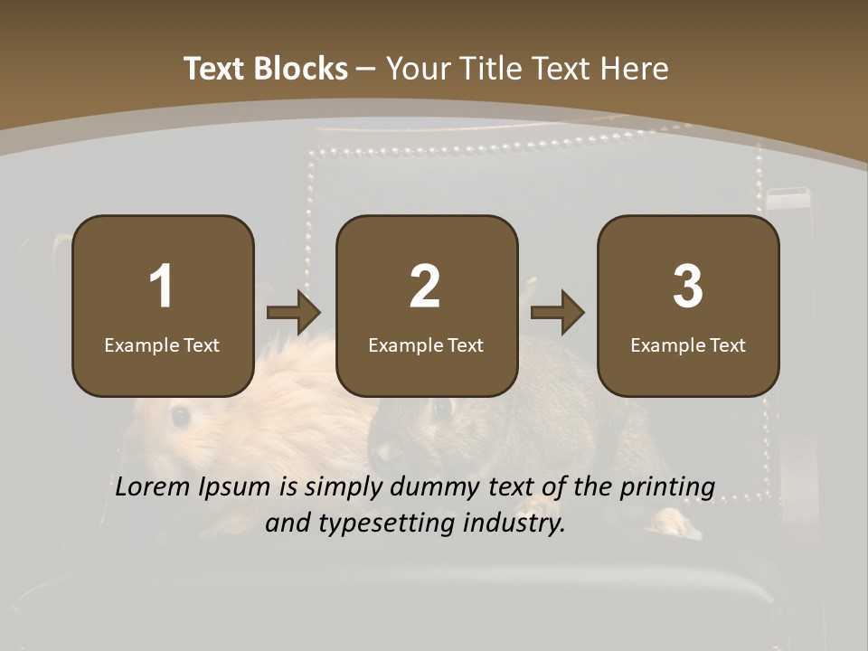 Indoors Tame Beautiful PowerPoint Template