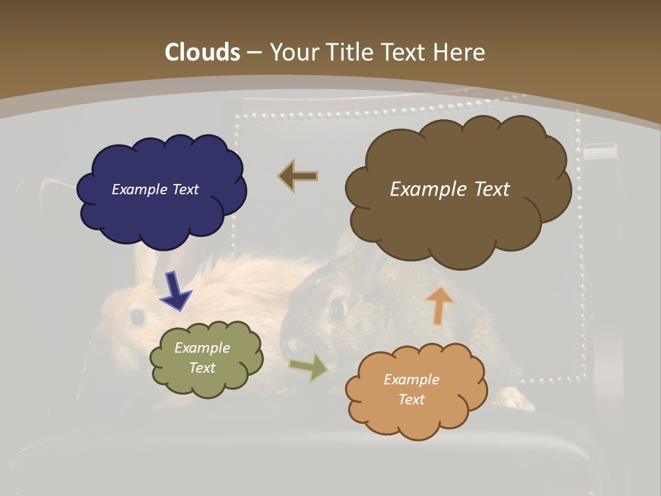 Indoors Tame Beautiful PowerPoint Template