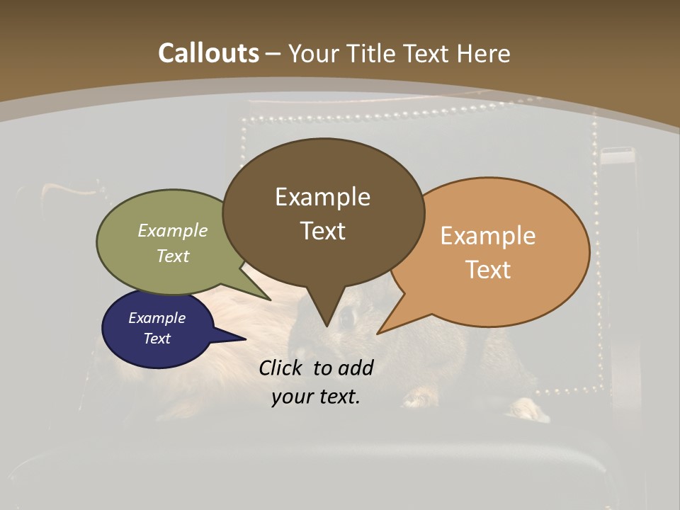 Indoors Tame Beautiful PowerPoint Template