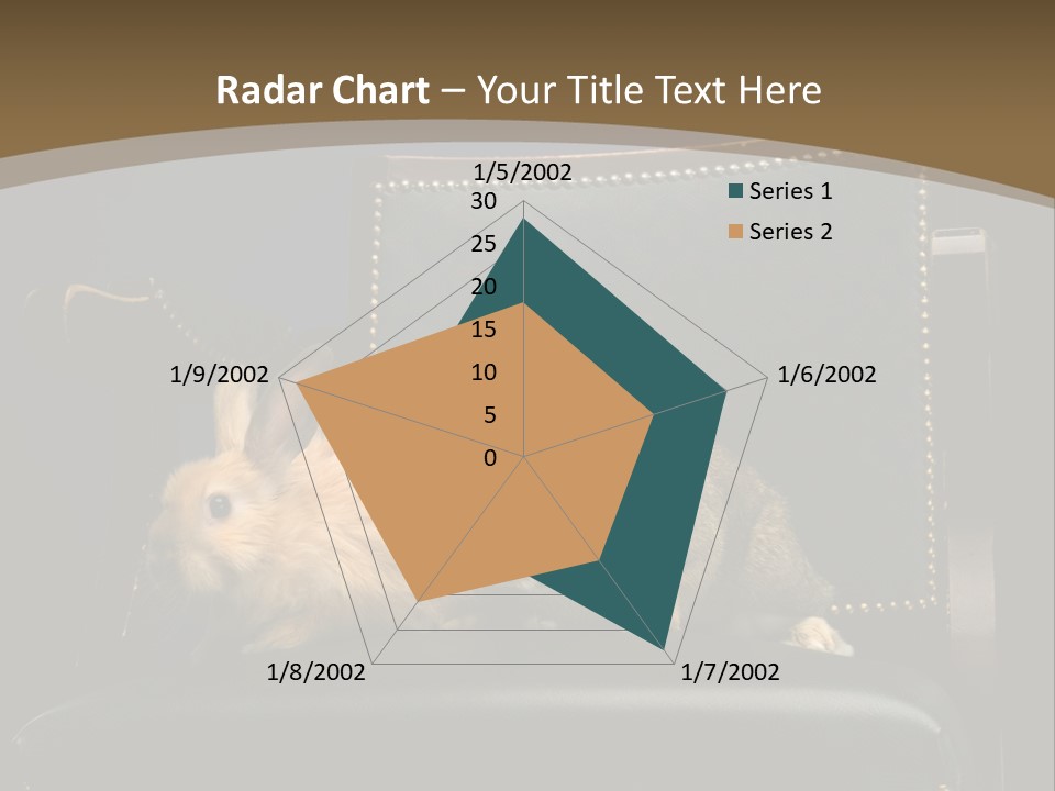 Indoors Tame Beautiful PowerPoint Template