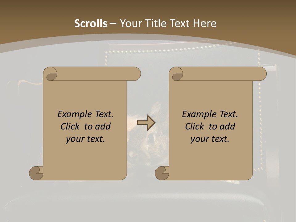 Indoors Tame Beautiful PowerPoint Template