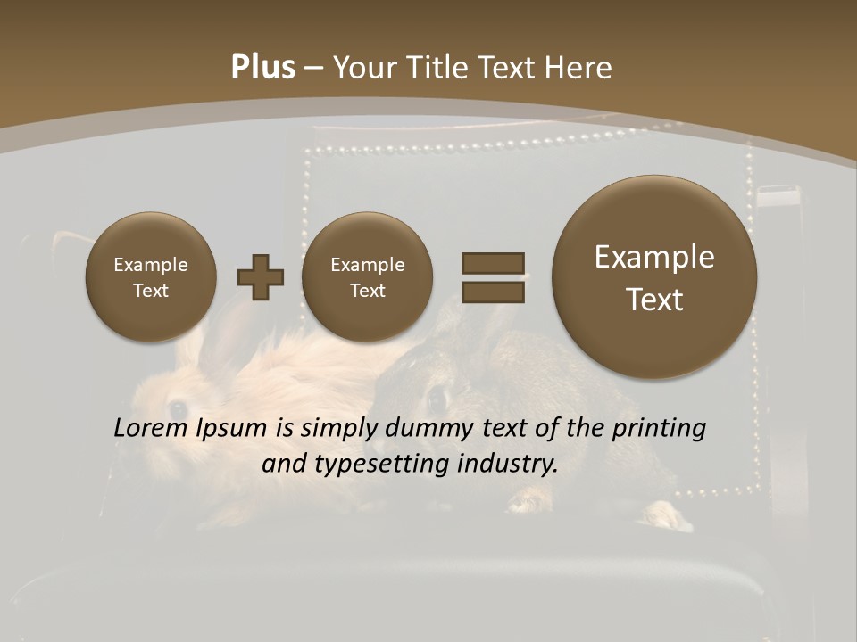 Indoors Tame Beautiful PowerPoint Template