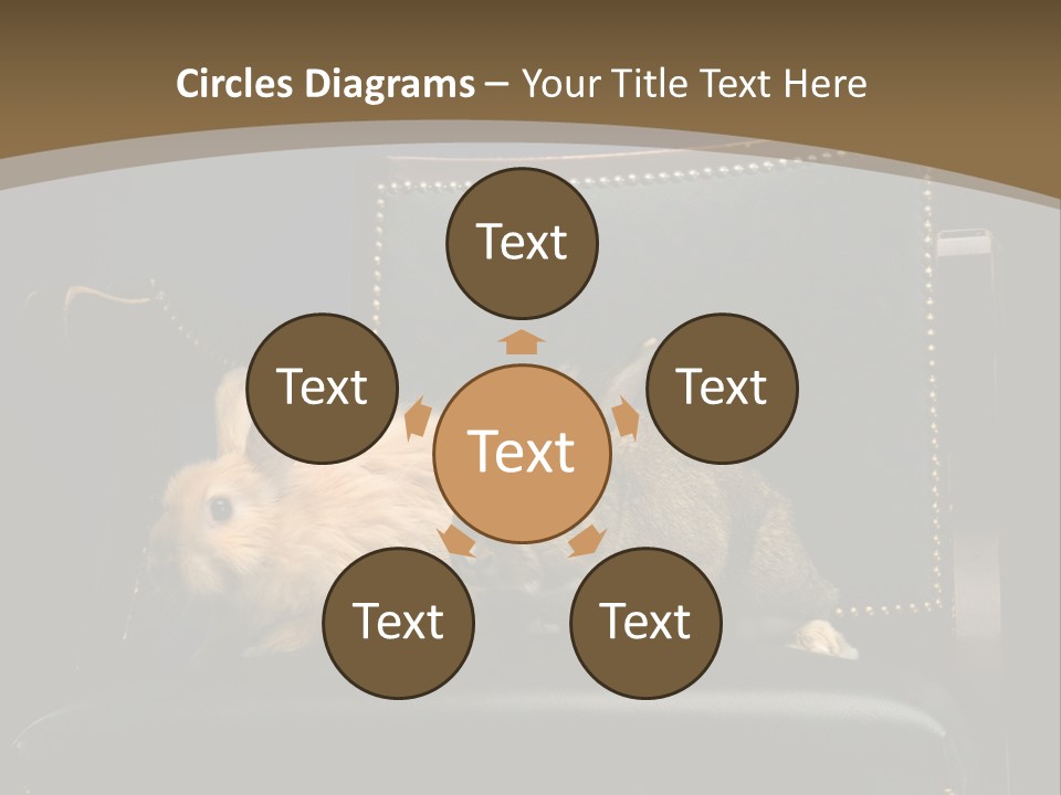 Indoors Tame Beautiful PowerPoint Template