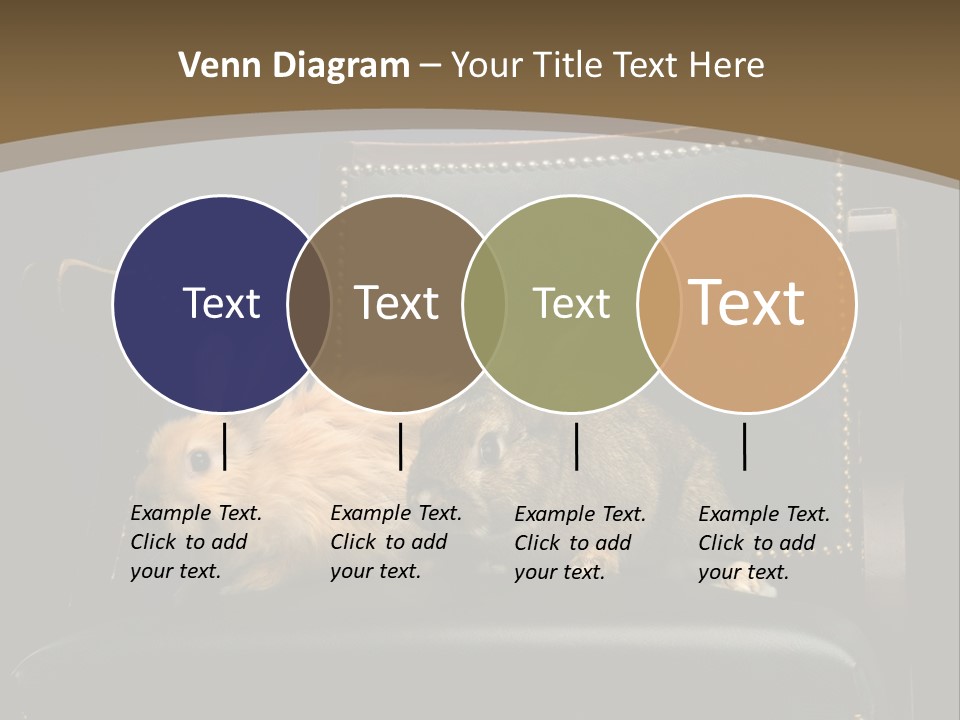 Indoors Tame Beautiful PowerPoint Template