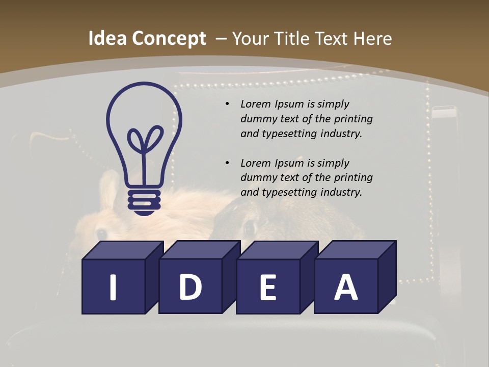 Indoors Tame Beautiful PowerPoint Template