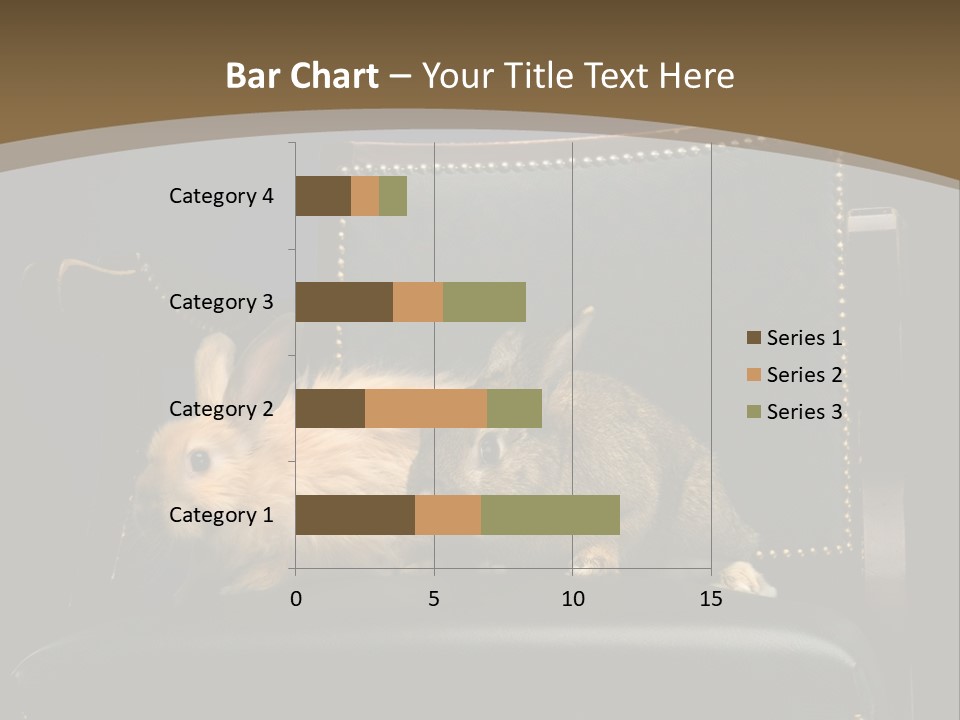Indoors Tame Beautiful PowerPoint Template