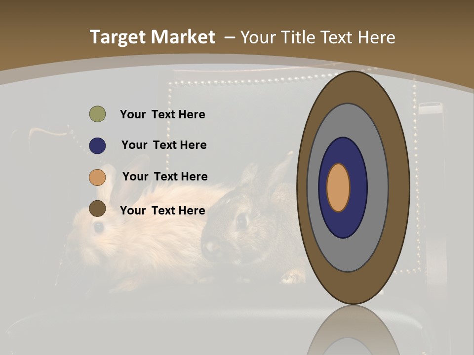 Indoors Tame Beautiful PowerPoint Template