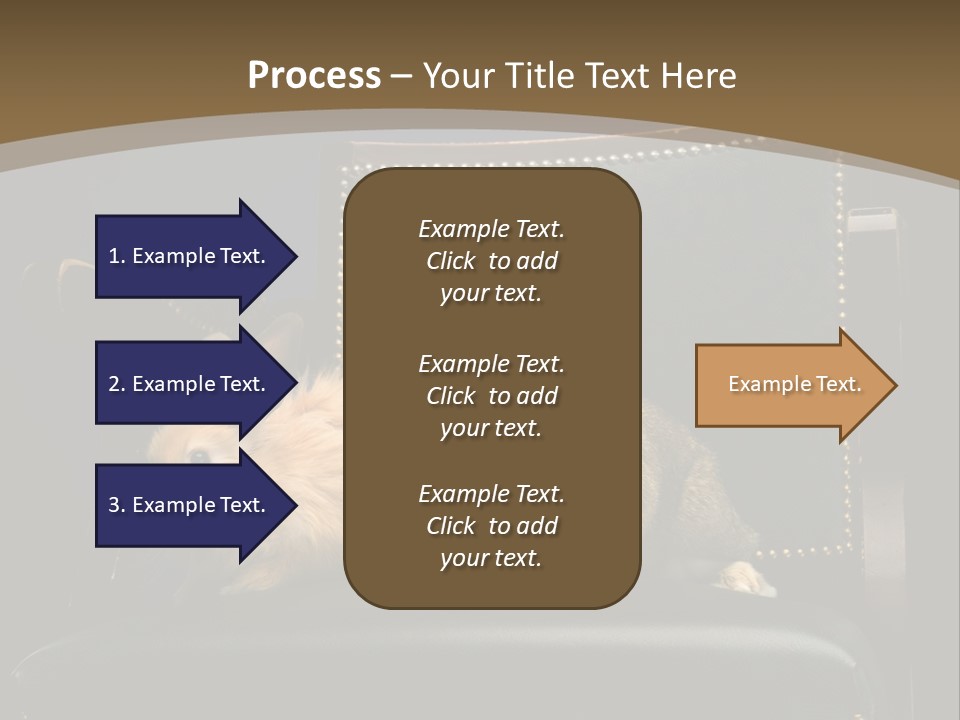 Indoors Tame Beautiful PowerPoint Template