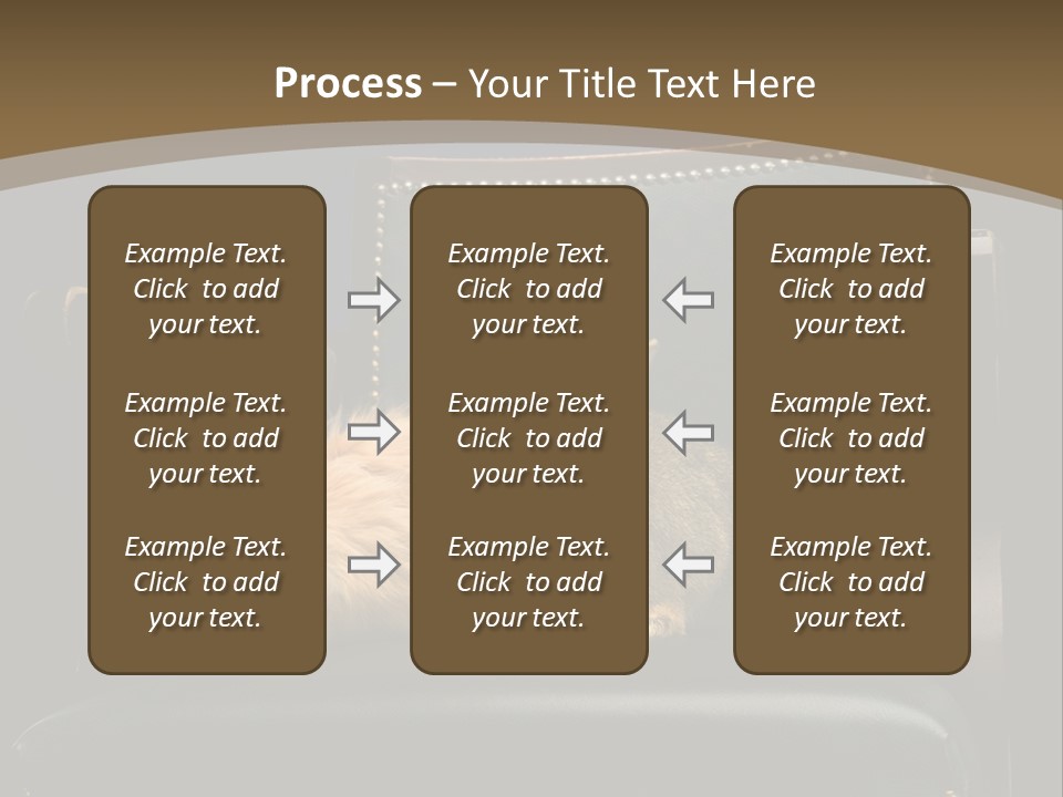 Indoors Tame Beautiful PowerPoint Template