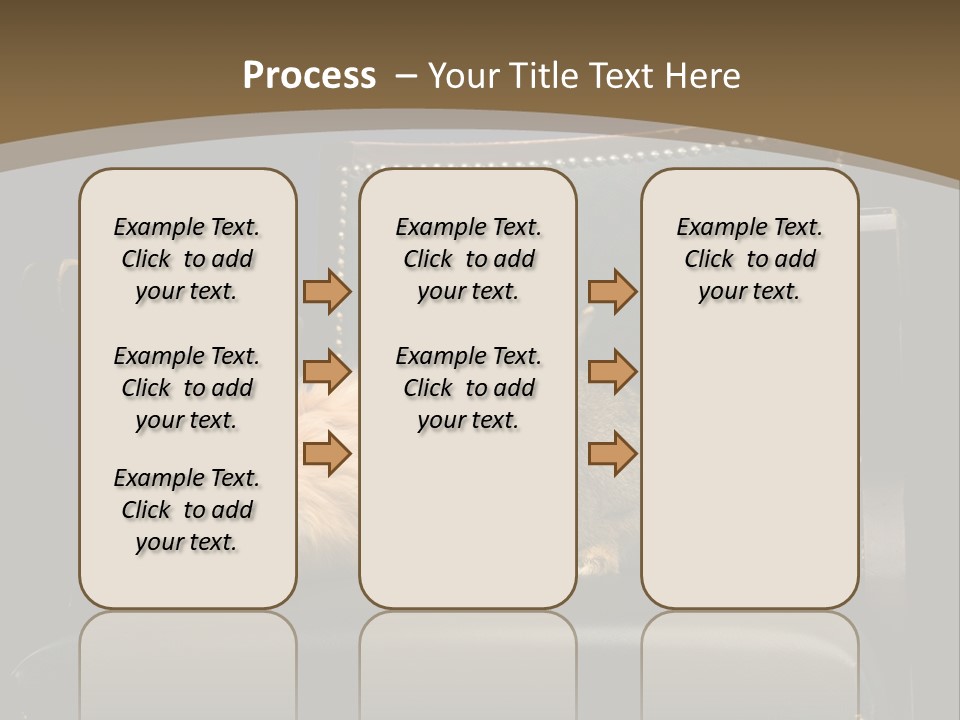 Indoors Tame Beautiful PowerPoint Template
