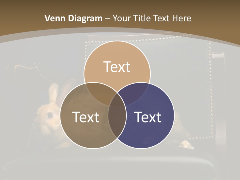 Indoors Tame Beautiful PowerPoint Template