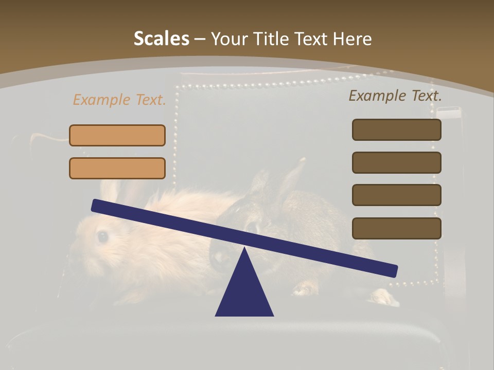 Indoors Tame Beautiful PowerPoint Template