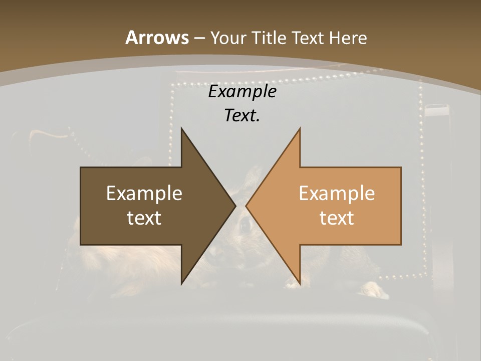 Indoors Tame Beautiful PowerPoint Template
