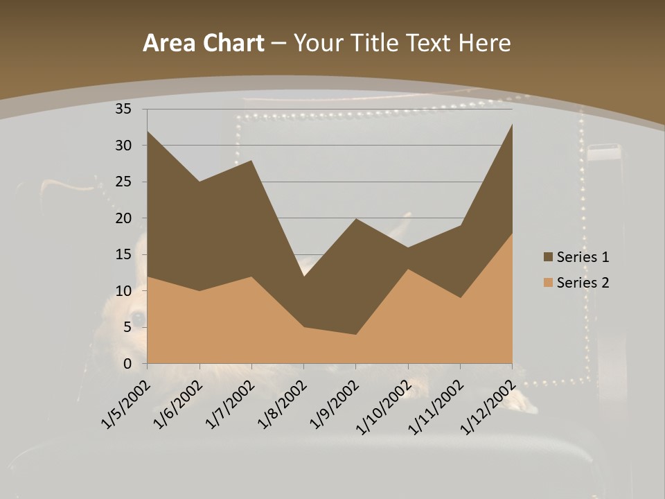 Indoors Tame Beautiful PowerPoint Template
