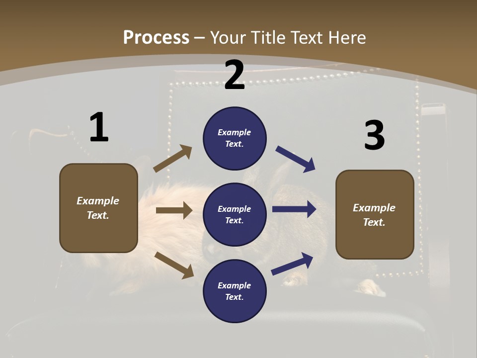 Indoors Tame Beautiful PowerPoint Template