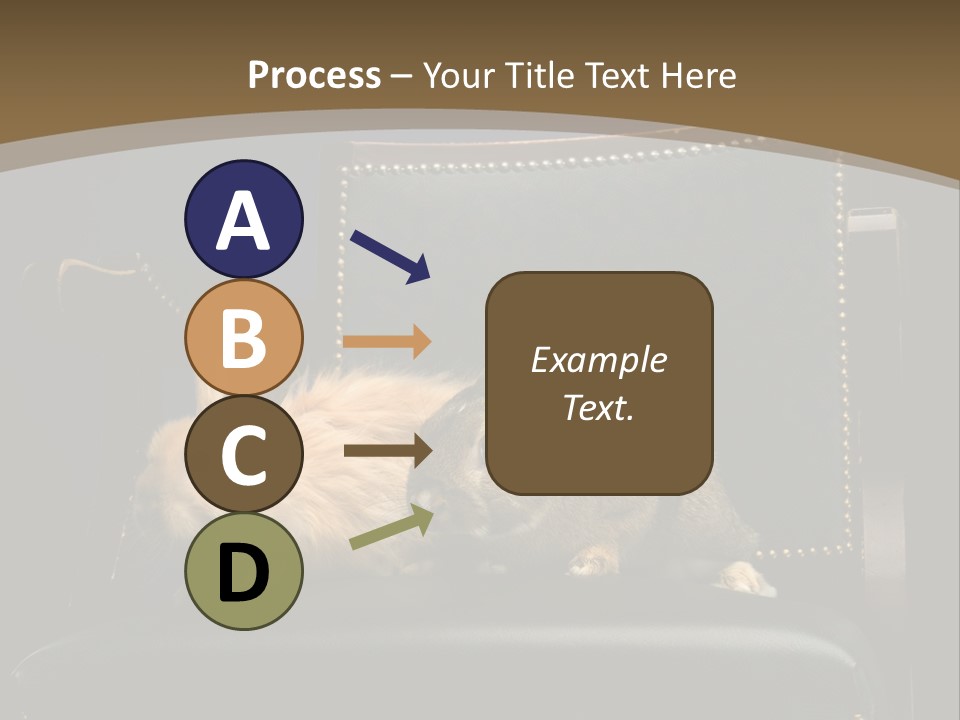 Indoors Tame Beautiful PowerPoint Template