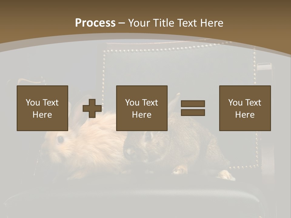 Indoors Tame Beautiful PowerPoint Template