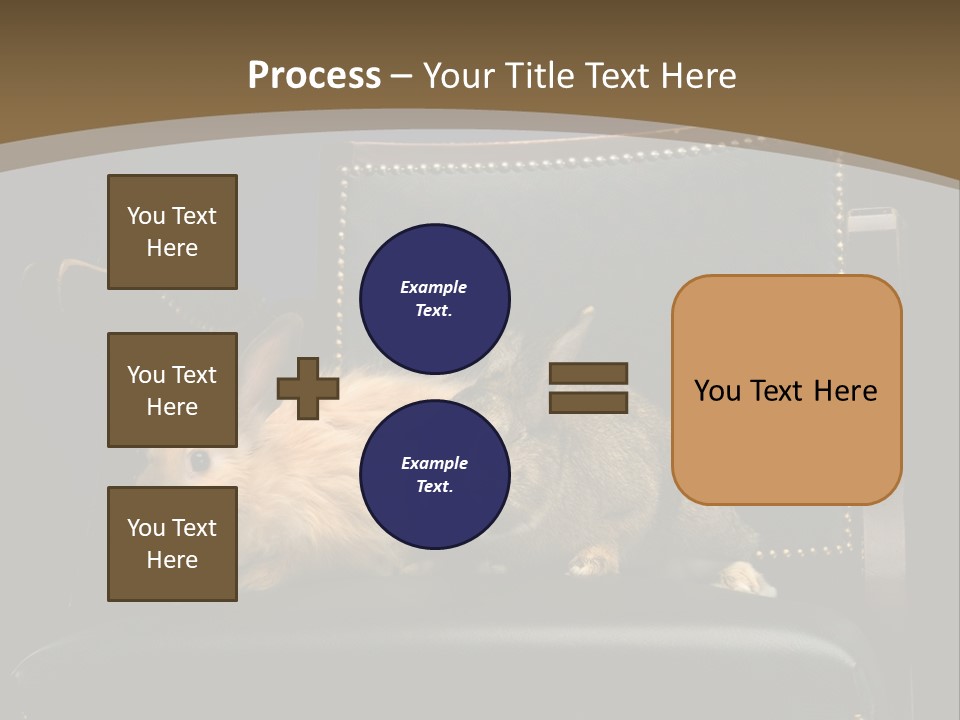 Indoors Tame Beautiful PowerPoint Template