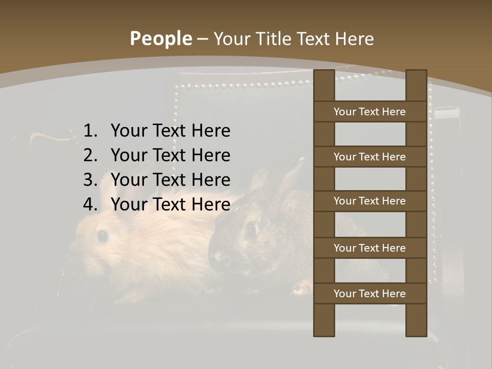 Indoors Tame Beautiful PowerPoint Template