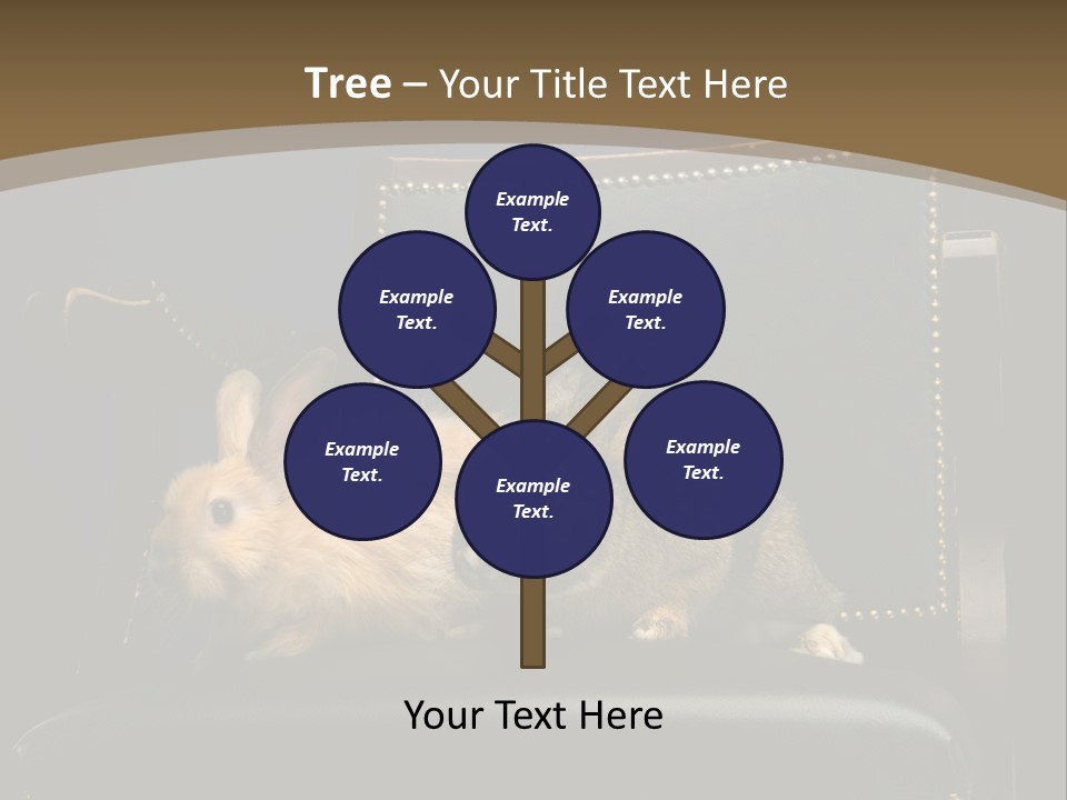 Indoors Tame Beautiful PowerPoint Template