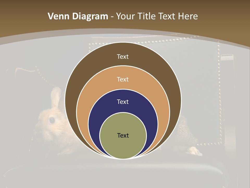 Indoors Tame Beautiful PowerPoint Template