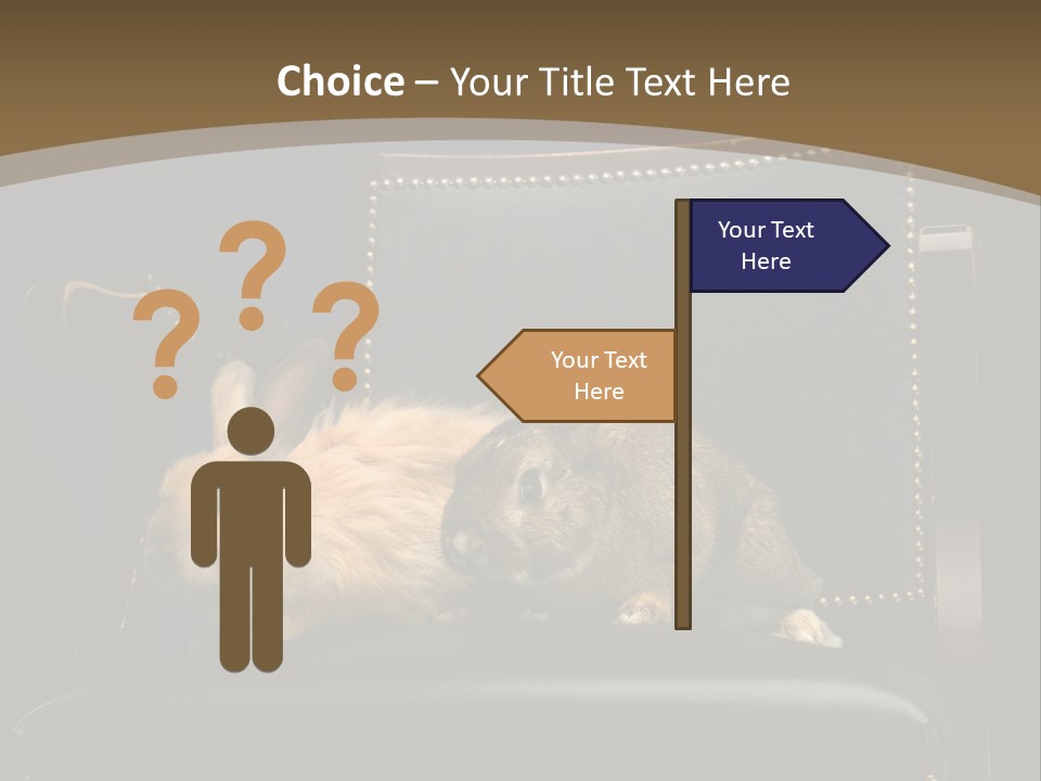 Indoors Tame Beautiful PowerPoint Template