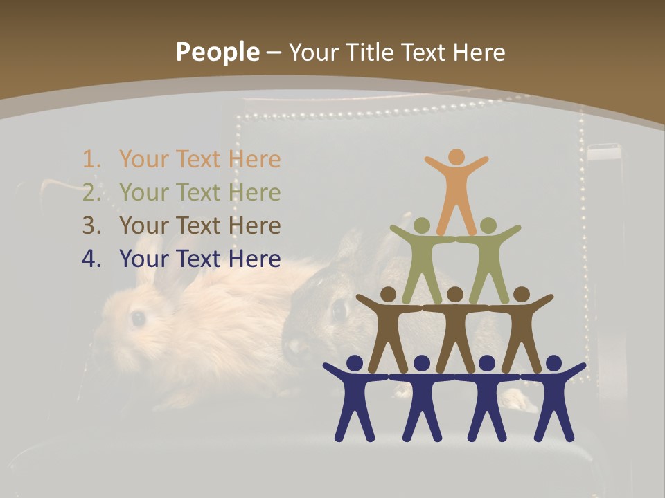 Indoors Tame Beautiful PowerPoint Template