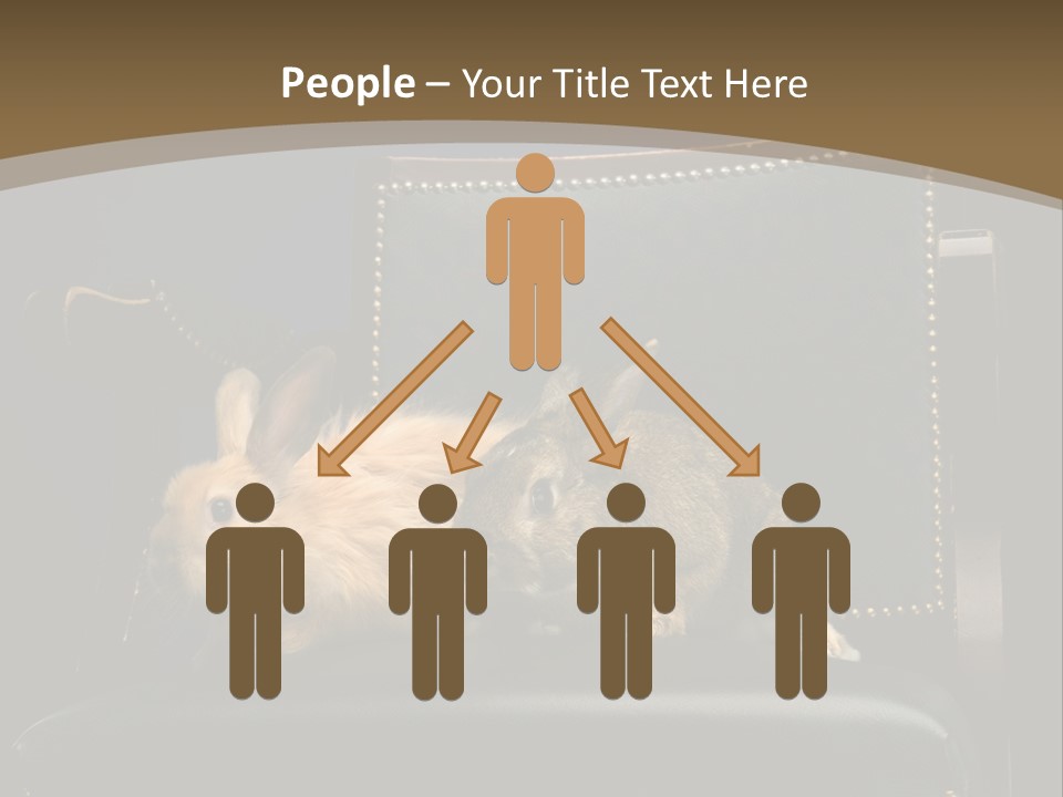 Indoors Tame Beautiful PowerPoint Template