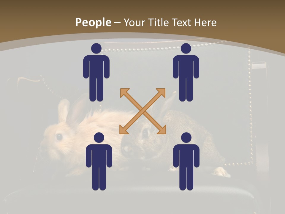 Indoors Tame Beautiful PowerPoint Template