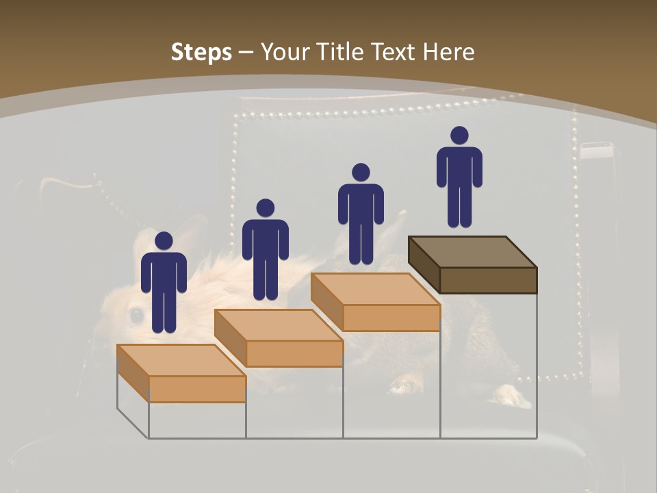 Indoors Tame Beautiful PowerPoint Template