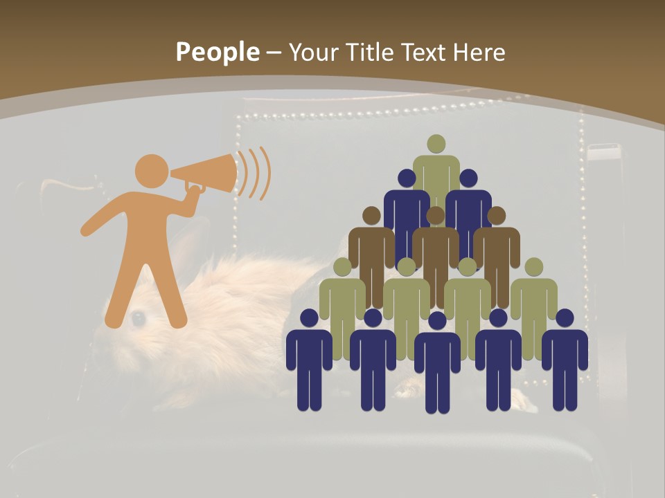 Indoors Tame Beautiful PowerPoint Template