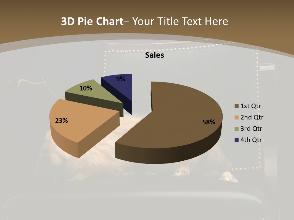 Indoors Tame Beautiful PowerPoint Template