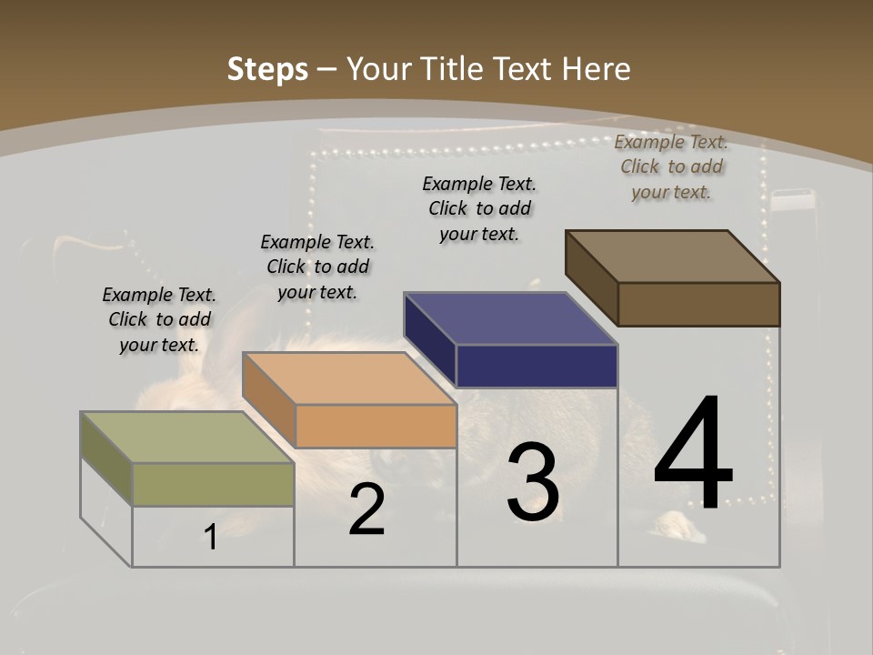 Indoors Tame Beautiful PowerPoint Template