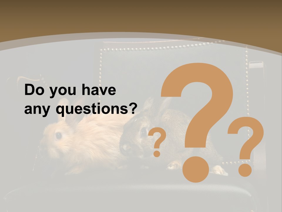 Indoors Tame Beautiful PowerPoint Template