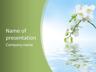 Simplicity Beauty Romantic PowerPoint Template