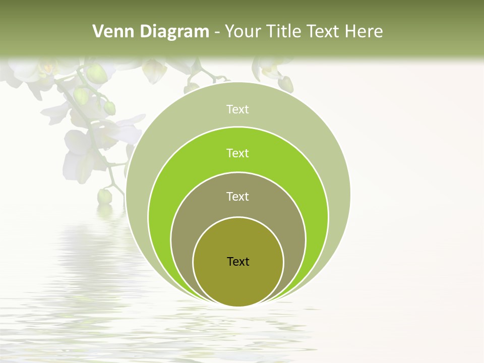 Flora Love Gift PowerPoint Template