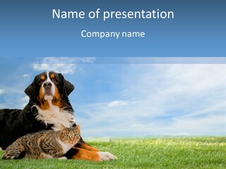 Cute Puppy Spring PowerPoint Template