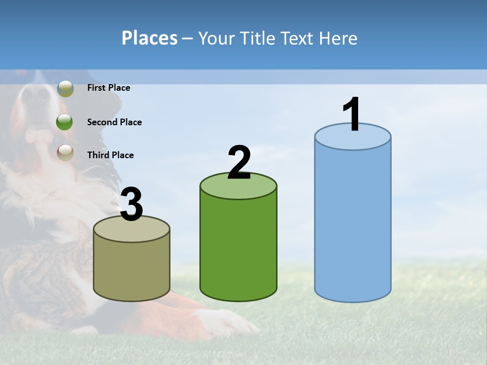 Cute Puppy Spring PowerPoint Template