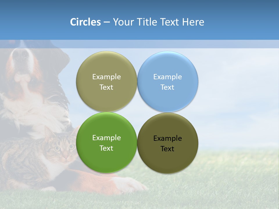 Cute Puppy Spring PowerPoint Template