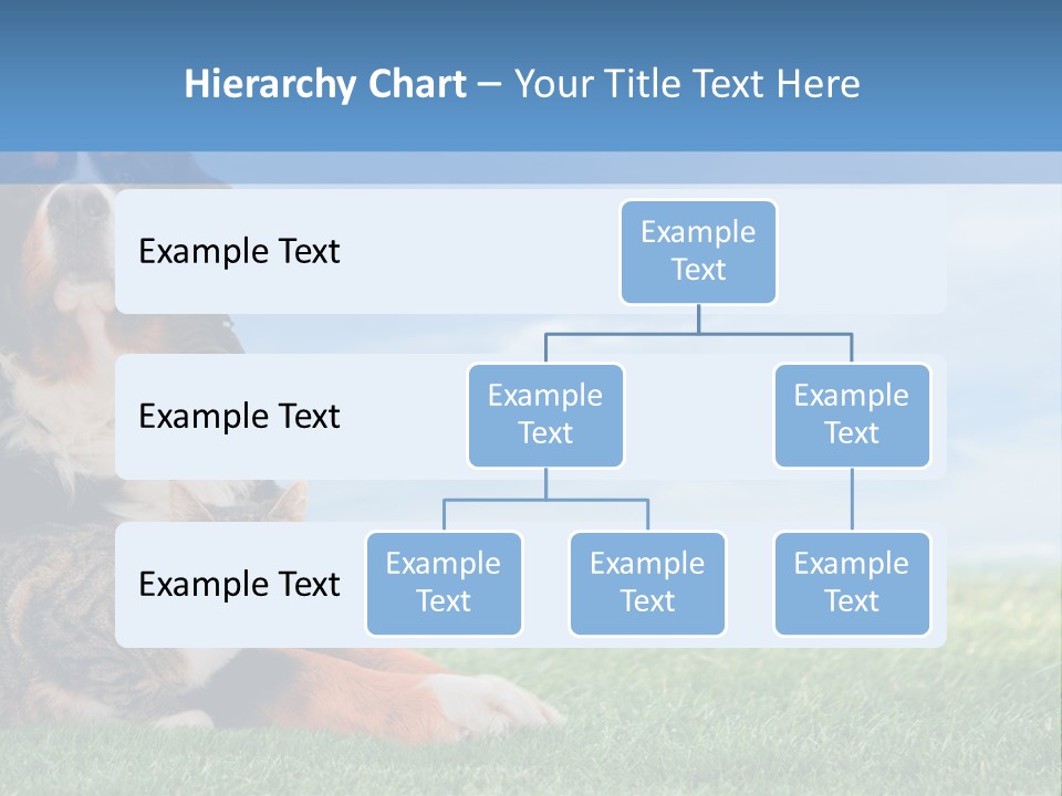 Cute Puppy Spring PowerPoint Template