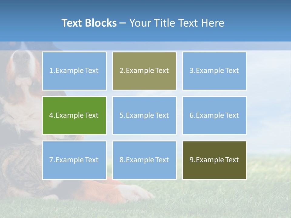 Cute Puppy Spring PowerPoint Template