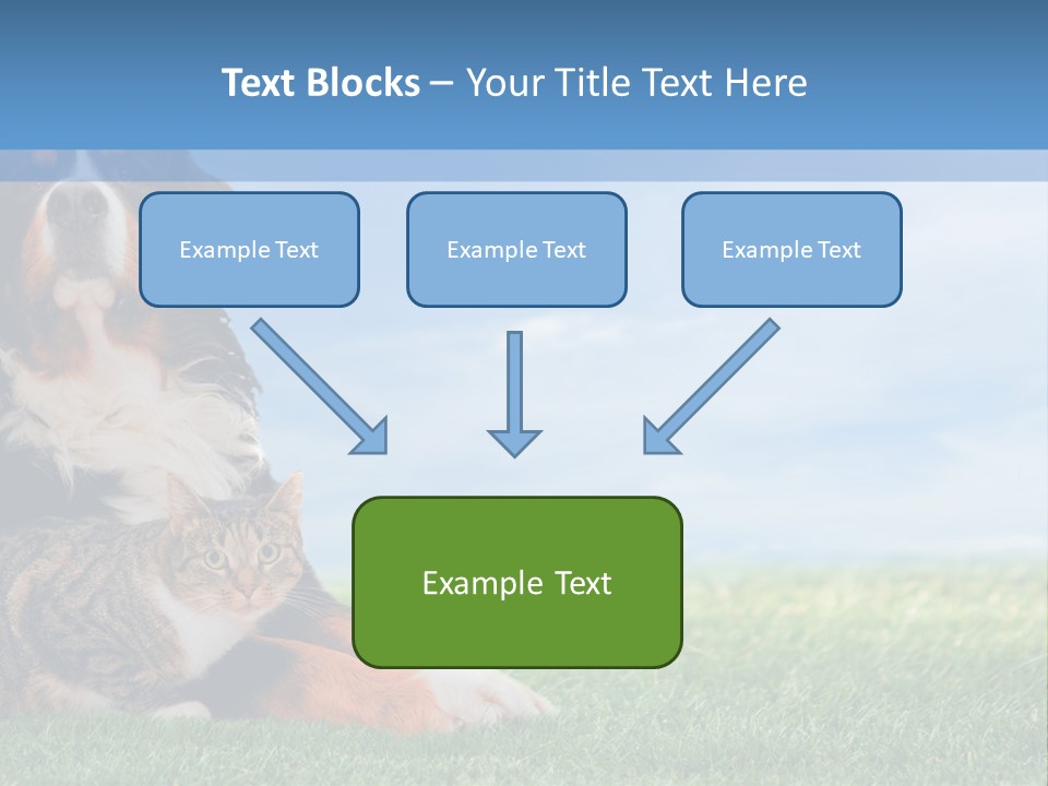 Cute Puppy Spring PowerPoint Template