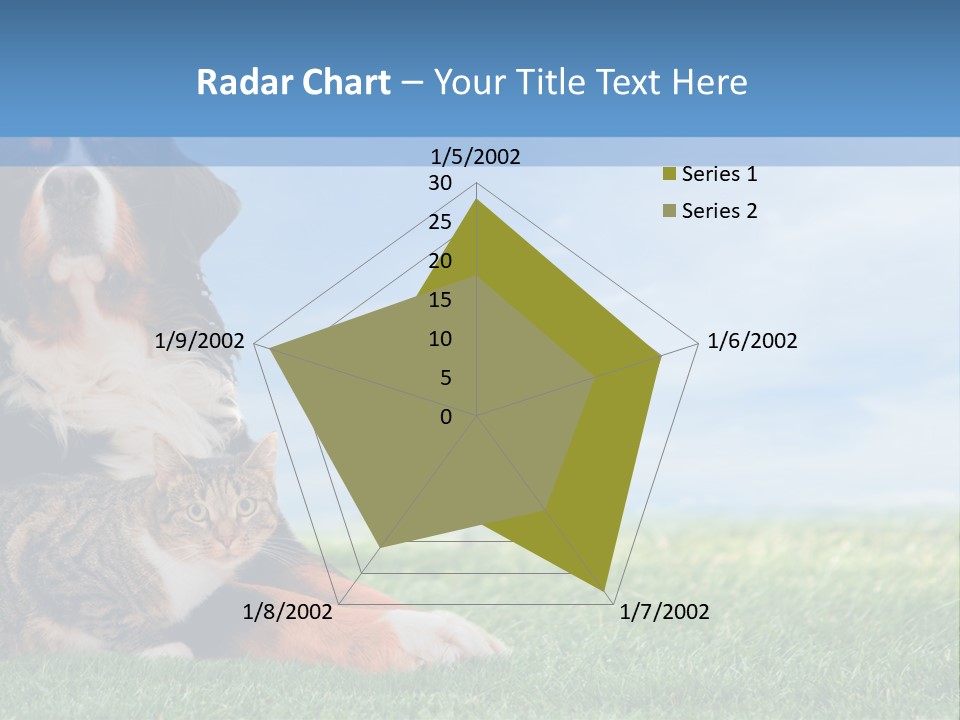 Cute Puppy Spring PowerPoint Template