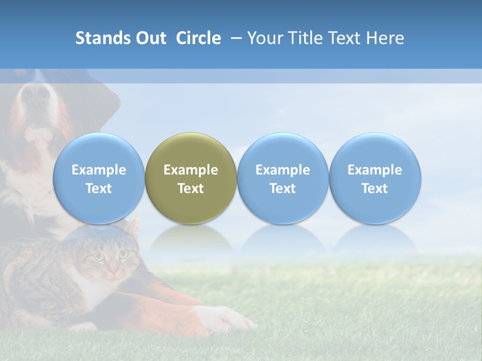 Cute Puppy Spring PowerPoint Template
