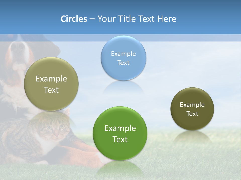 Cute Puppy Spring PowerPoint Template