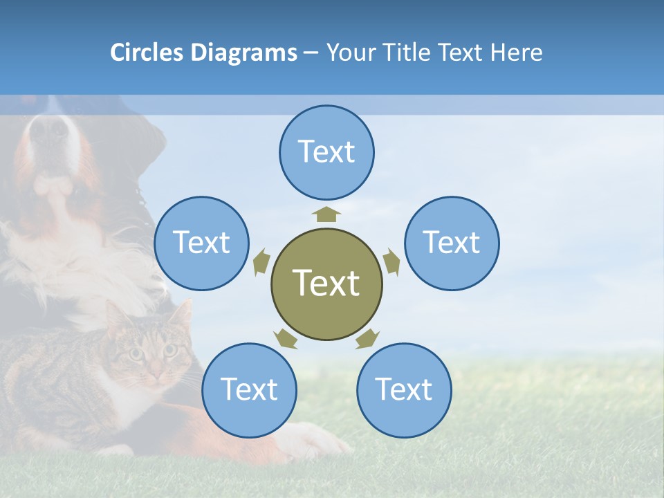 Cute Puppy Spring PowerPoint Template