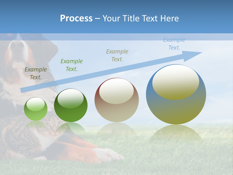 Cute Puppy Spring PowerPoint Template